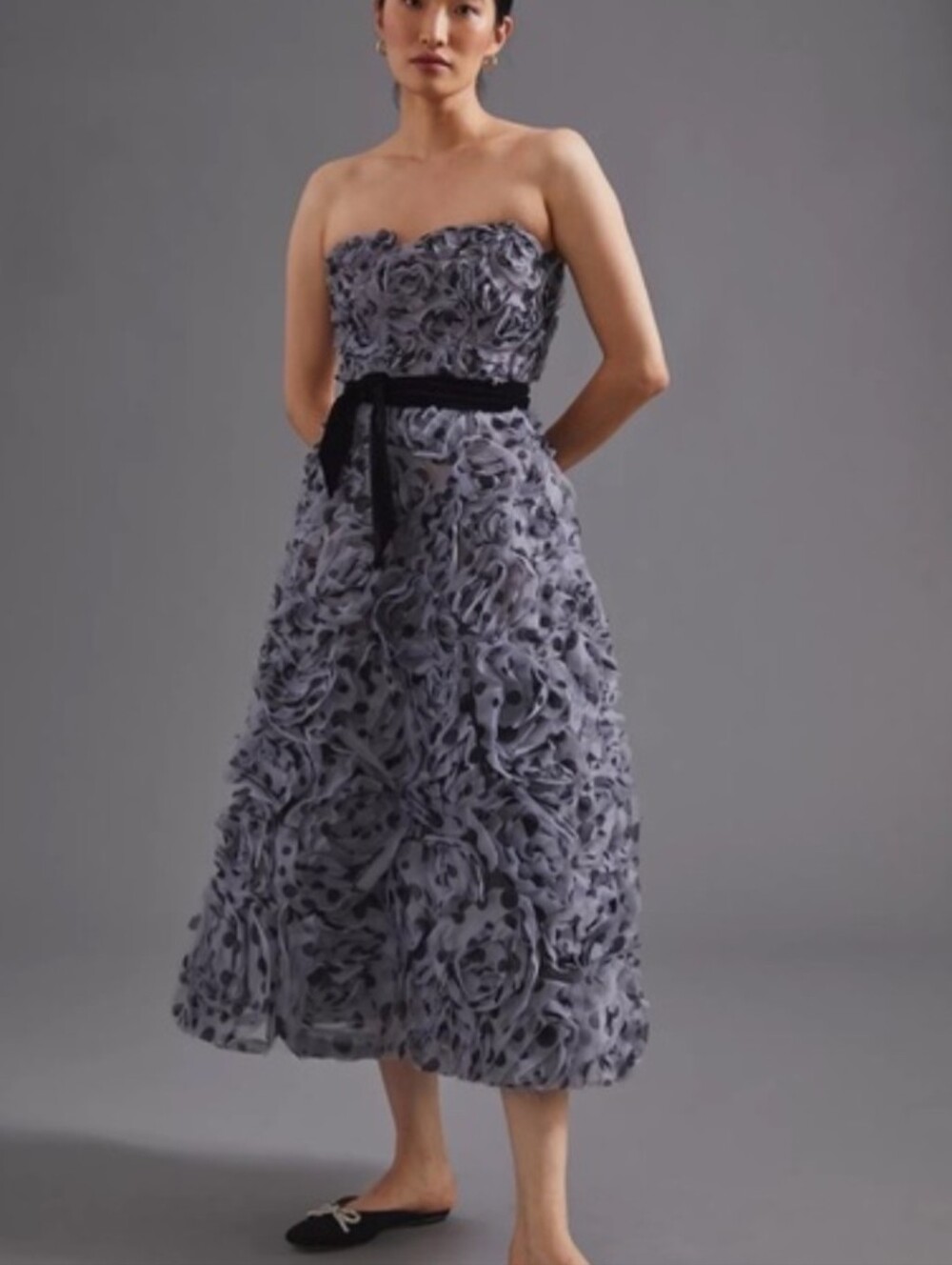 Anthropologie Appliqued Tulle Strapless Midi Dress NWT Size 2P - Geisha Designs